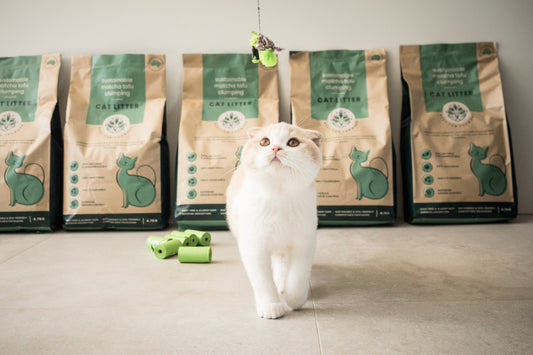 The Vet-Approved Secret to a Zero-Waste Pet Home: Introducing Best Fur Forward