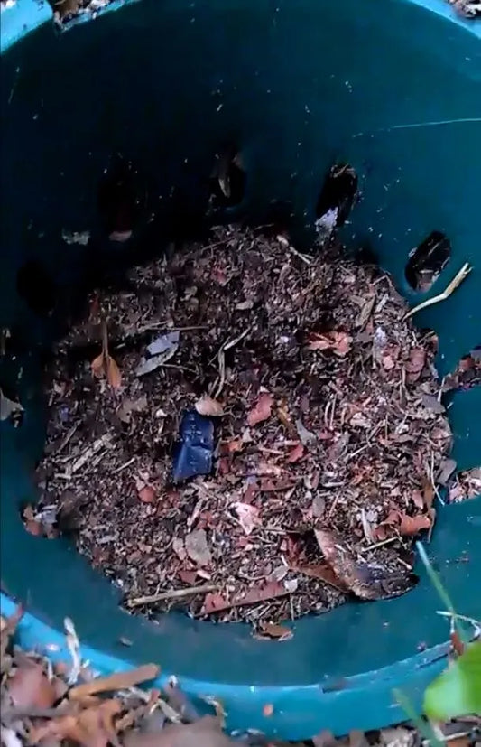 Composting for a Greener Home: How In-Situ Recycled Plastic Solutions Drive Circular Living