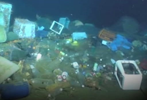 The True Impact of Recycled Products: Beyond the Label