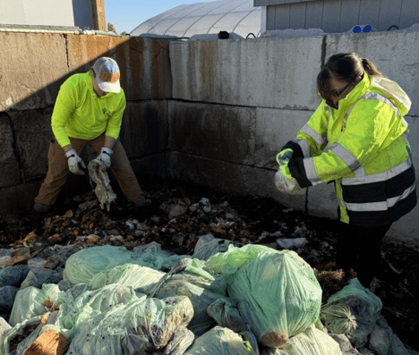 What’s Wrong With This Picture? Why Green Bags Aren't Always as Green as they Look