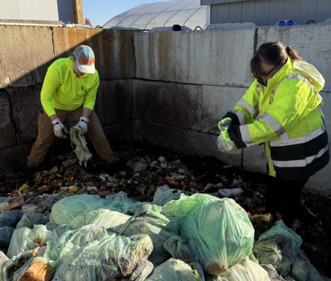 What’s Wrong With This Picture? Why Green Bags Aren't Always as Green as they Look