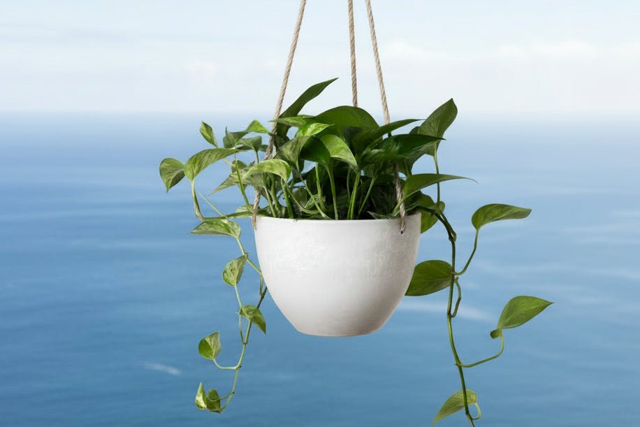Why Sustainable Design is Moving Away from the Kiln