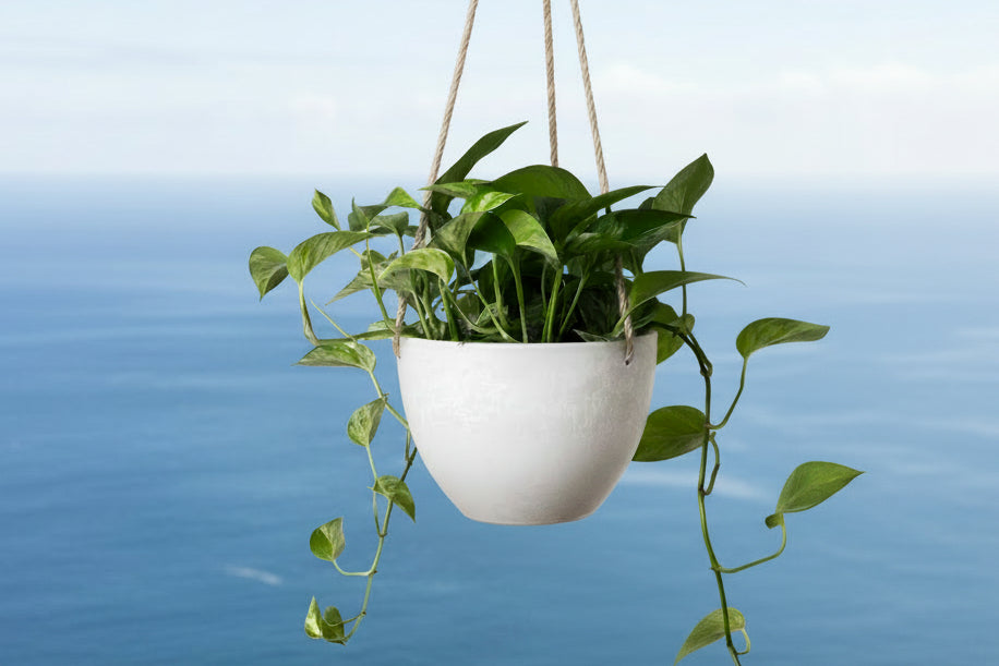 Why Sustainable Design is Moving Away from the Kiln