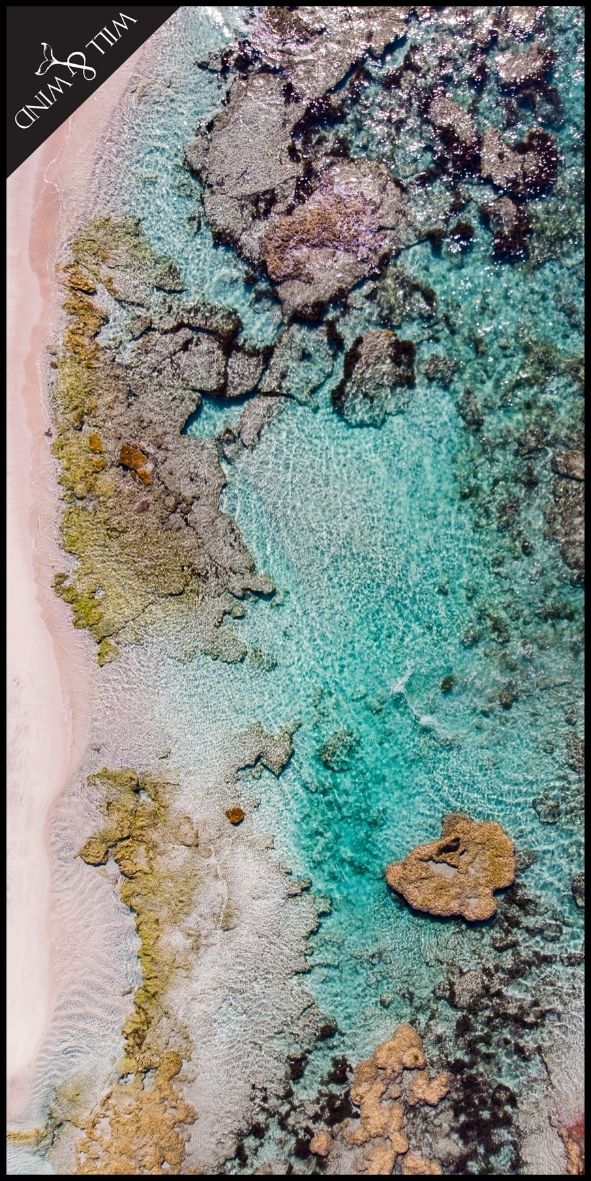 Beach/Travel Towel