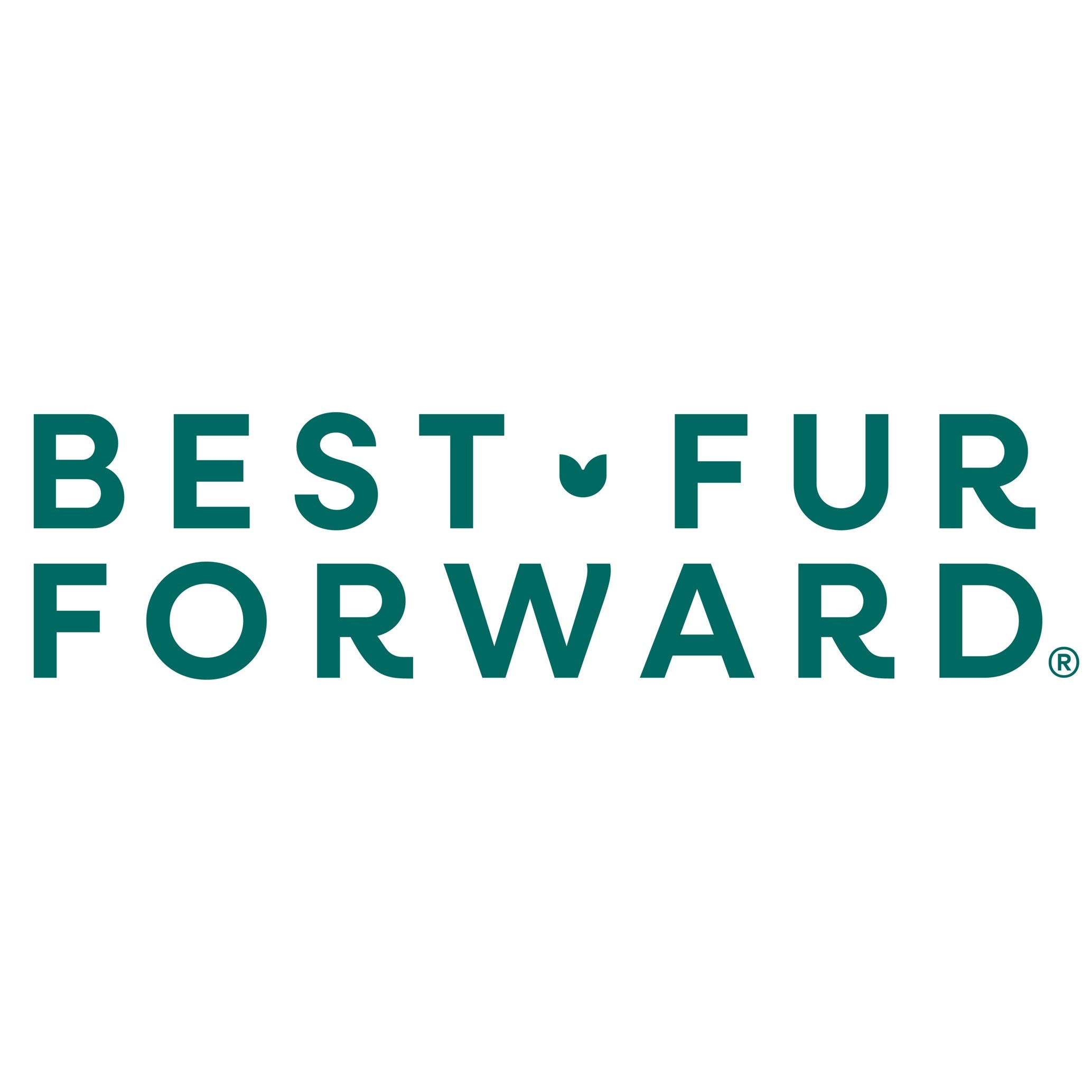 Best Fur Forward Logo