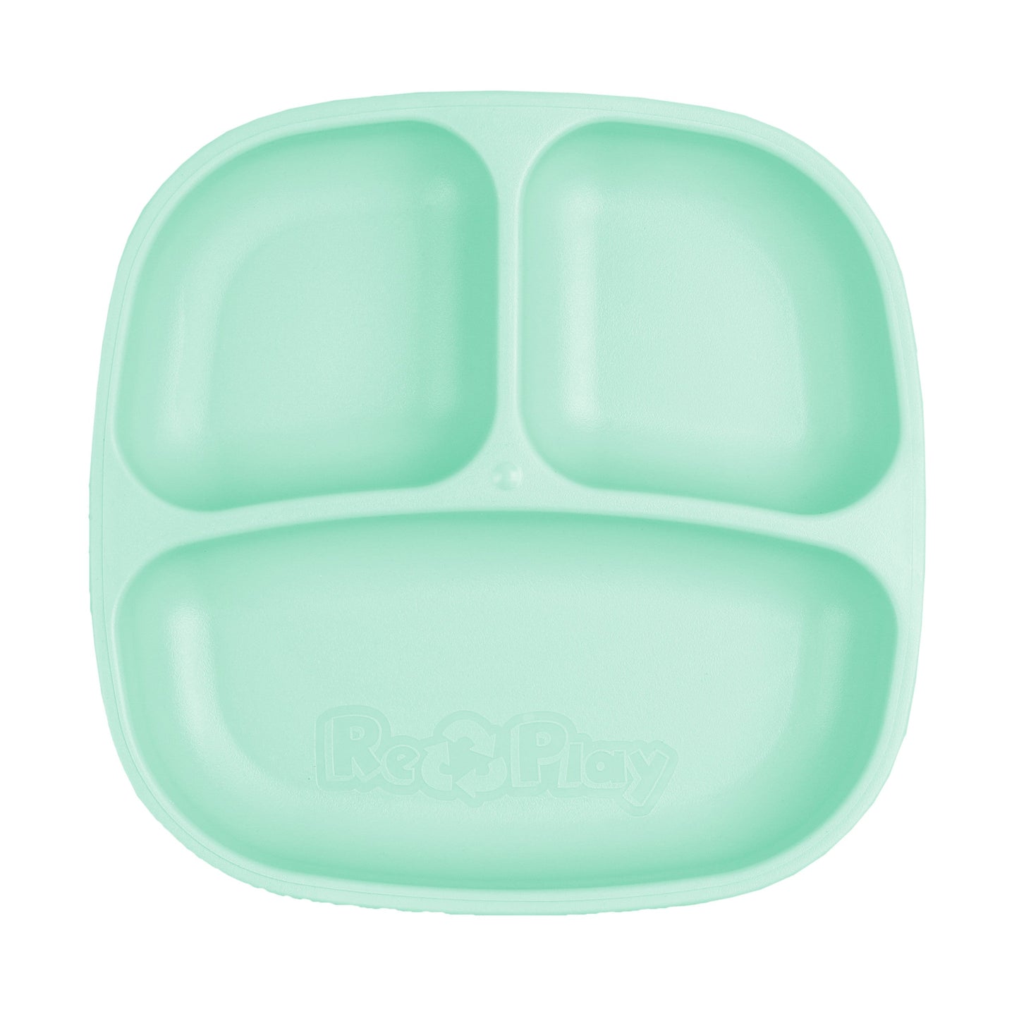 Replay Divider Plate  Mint