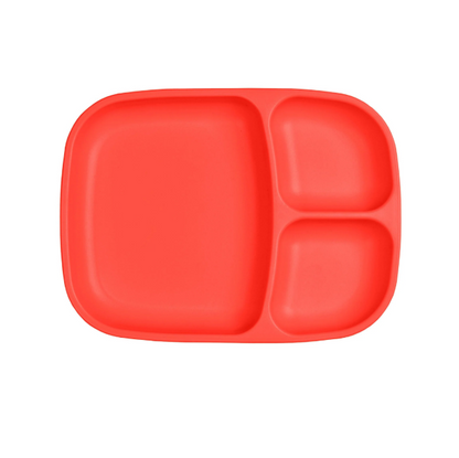 Divided Tray - rectangle