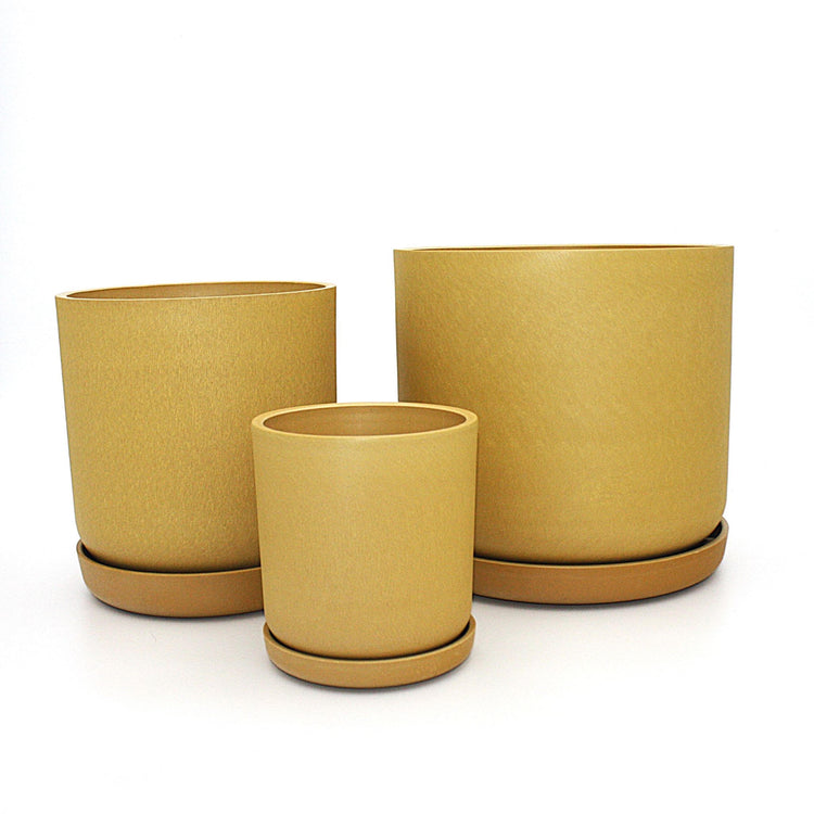 Coordinated Portland large set of three statement recycled plastic plant pots with matching saucers on a clean white background, available in Australia. Mustard shown.