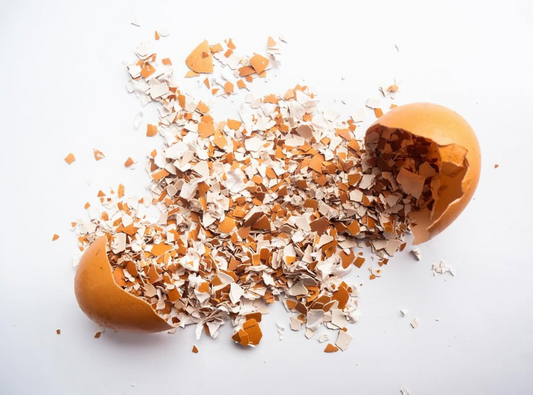 Eggshell Bio-Epoxy Heart Dish | Carbon Sequestering | One of a Kind