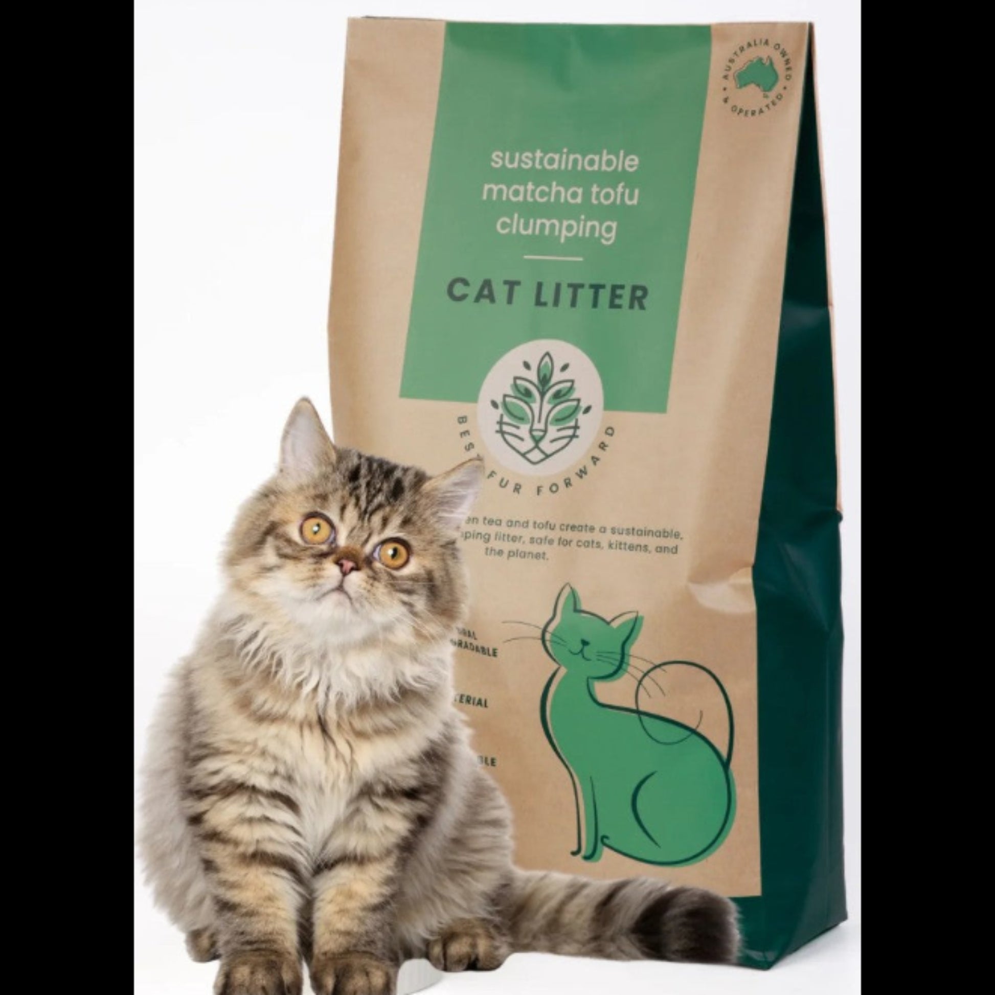 A cute kitten sitting next to a bag of Best Fur Forward eco friendly flushable tofu cat litter.