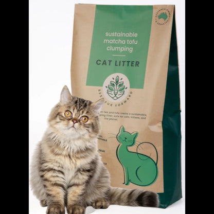 A cute kitten sitting next to a bag of Best Fur Forward eco friendly flushable tofu cat litter.