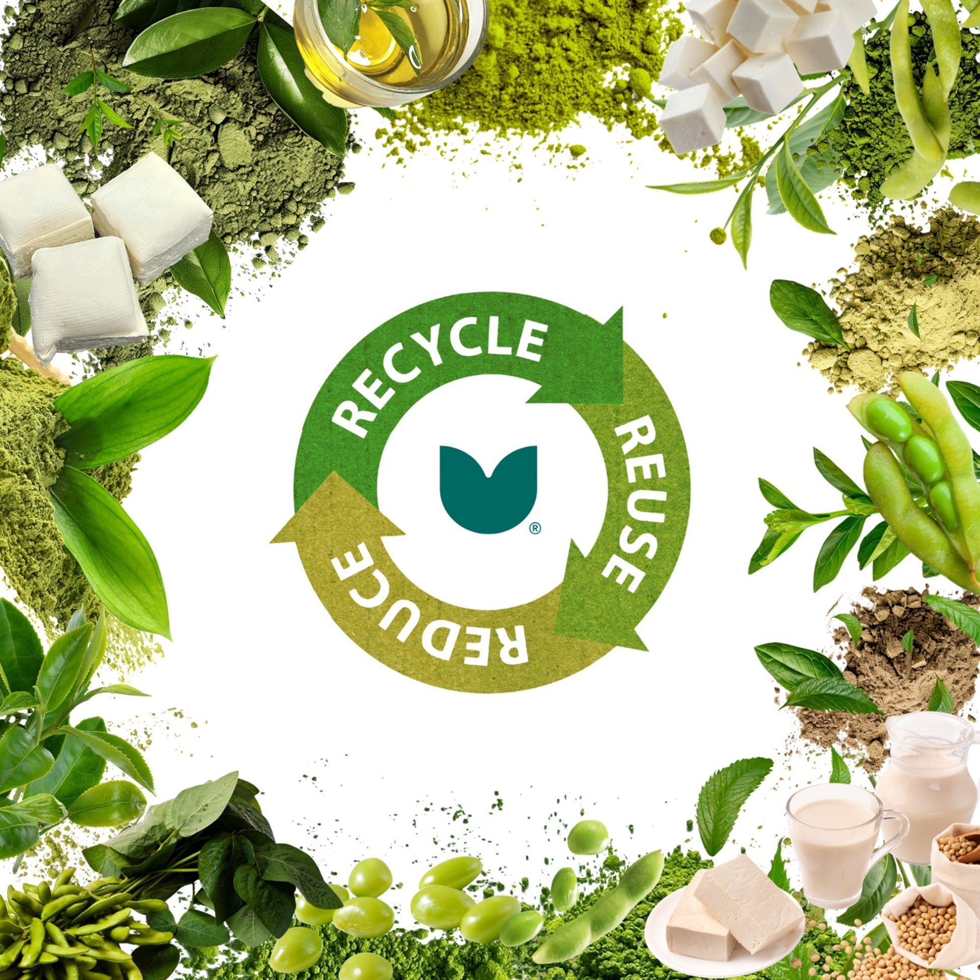 Circular design with greenery and a recycling symbol in the center on a white background