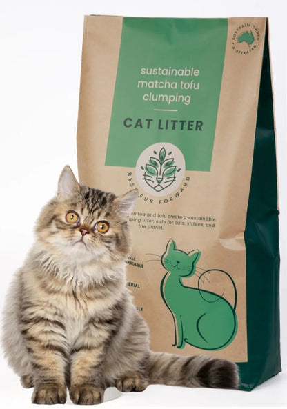Best Fur Forward eco-friendly recycled, flushable cat litter with a cute kitten