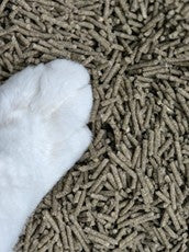 Natural Clumping Cat Litter - Tofu & Matcha | 1 x bag (4.7kg) | Vet developed