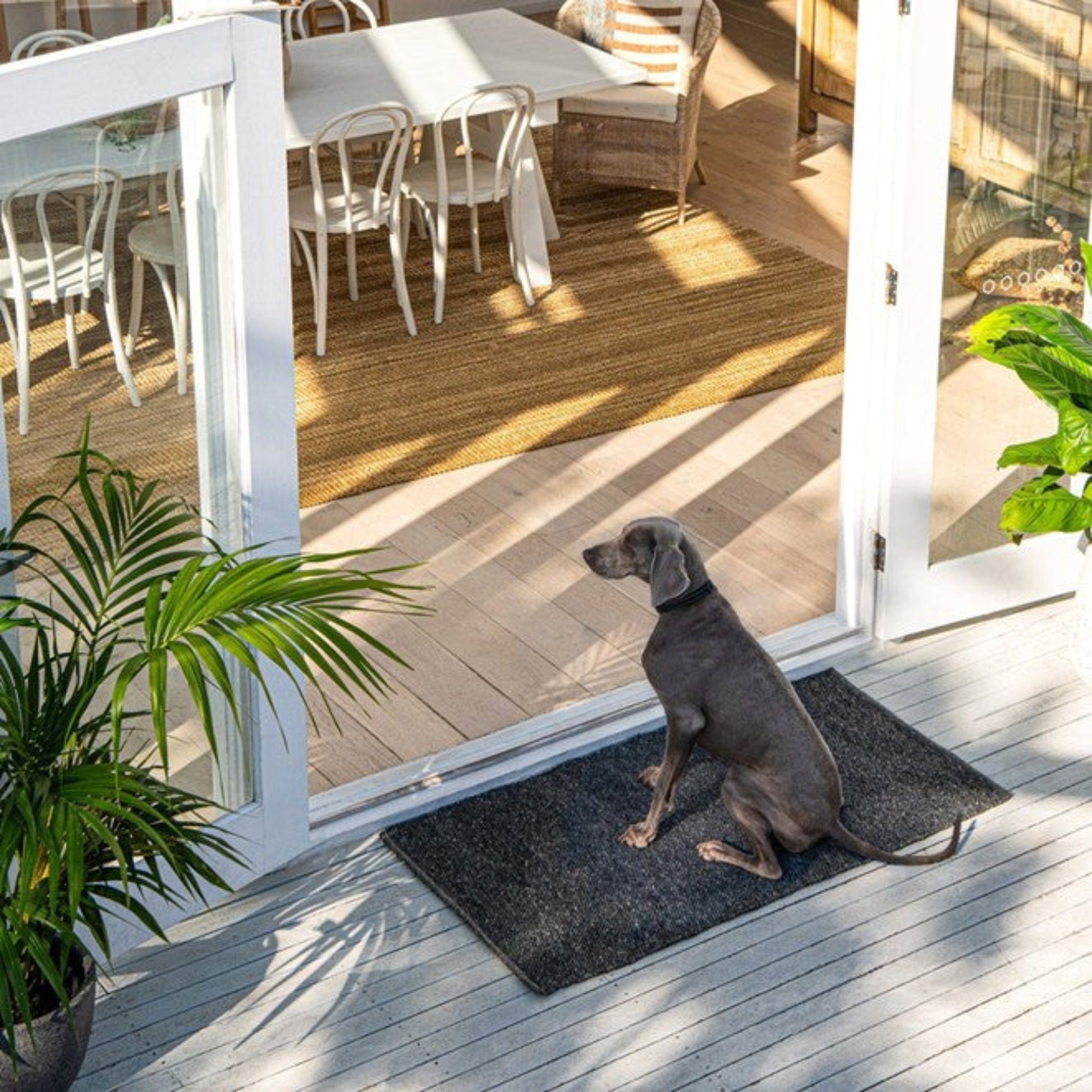 Zebra Home Clements low-profile dark grey front door mat styled at a modern sliding glass door entryway.