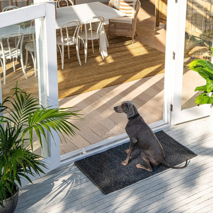 Zebra Home Clements low-profile dark grey front door mat styled at a modern sliding glass door entryway.