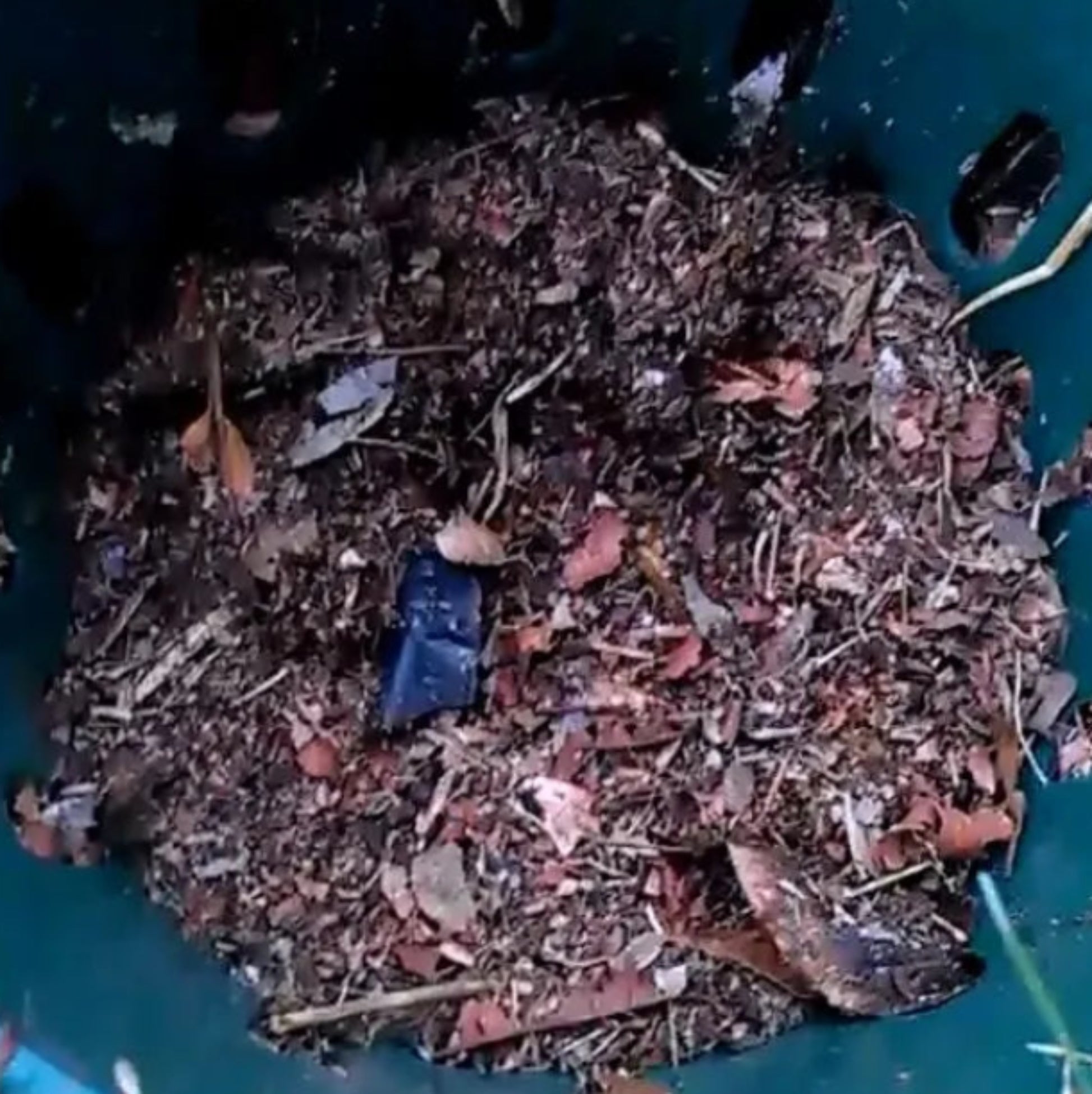 Open view of an in-ground Compot showing the perforated side walls that assist composting.