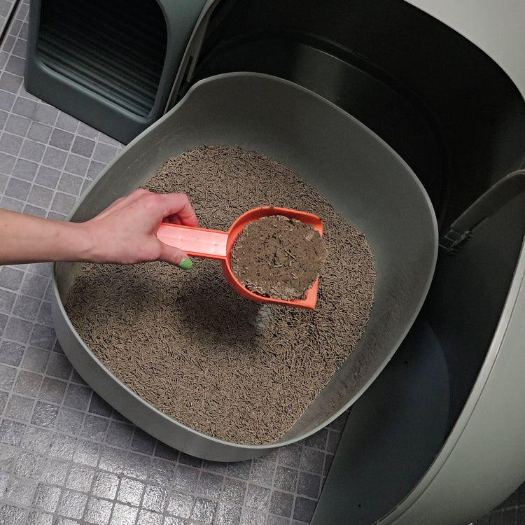 A litter scoop lifting a clean lump of fast clumping, dust free tofu cat litter from a litter tray.