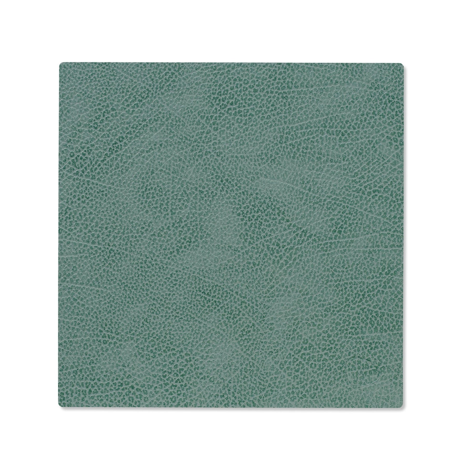 LIND DNA recycled leather colour swatch sample in Pastel green for sustainable designer homewares.