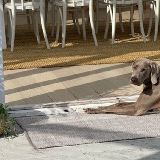 A dog lying on a durable, pet-friendly Davis grey herringbone washable outdoor mat.