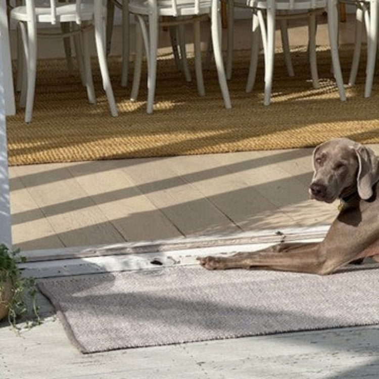 A dog lying on a durable, pet-friendly Davis grey herringbone washable outdoor mat.