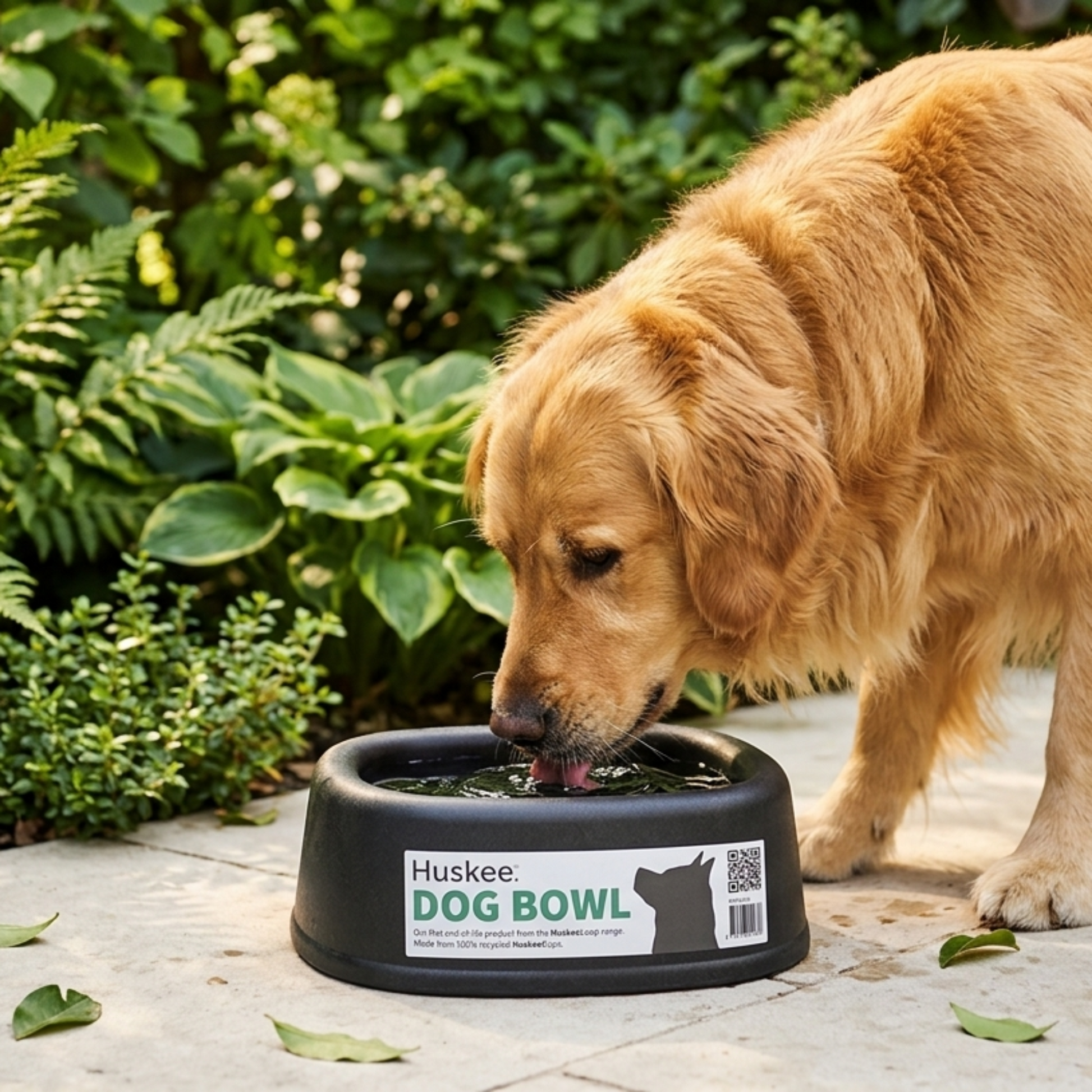 A minimalist Charcoal HuskeeLoop recycled dog bowl with Golden Retriever drinkiing on a stone terrace.