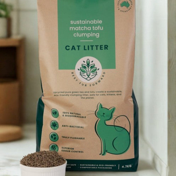 Premium sustainable matcha tofu clumping cat litter bag and bowl shown on a modern kitchen floor.