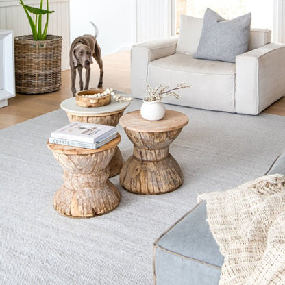 Zebra Home Bates mould and fade resistant ivory outdoor rug styled beneath rustic timber stools in a bright open-plan living space.