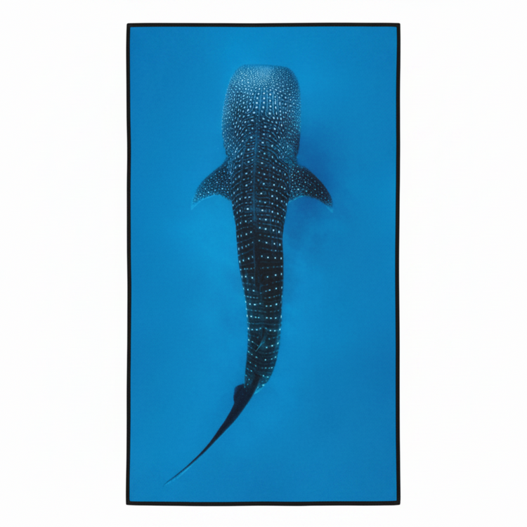 Will and Wind Whale Shark marine life photography gym towel. Sustainable recycled plastic microfibre workout towel, fast Australian shipping.