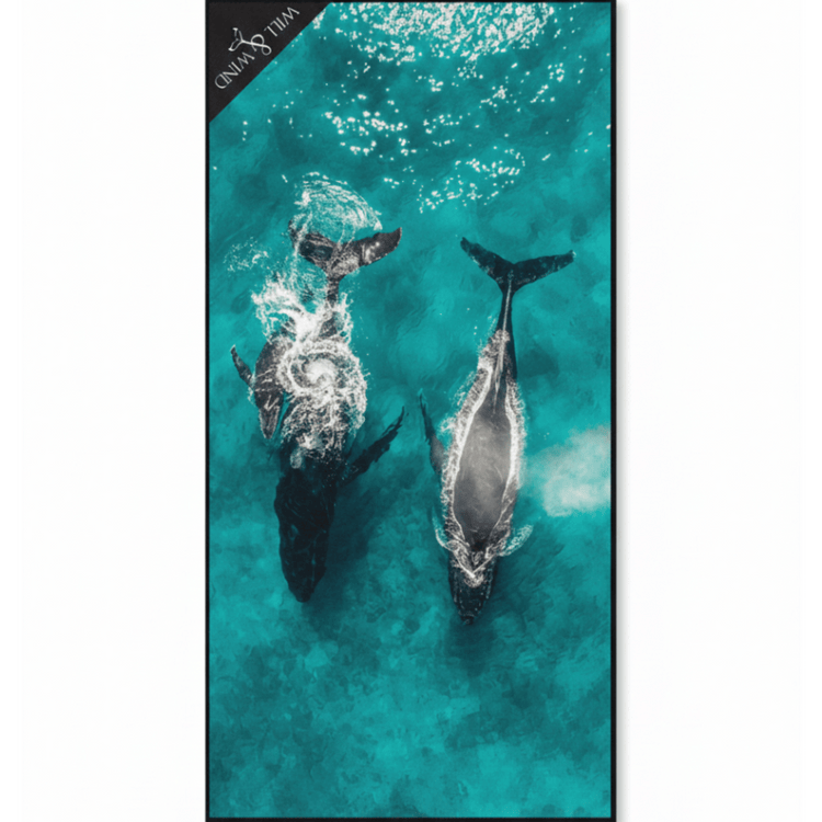 Will & Wind Humpback Whales drone photography towel. Premium quick drying sand free towel, buy online Australia.