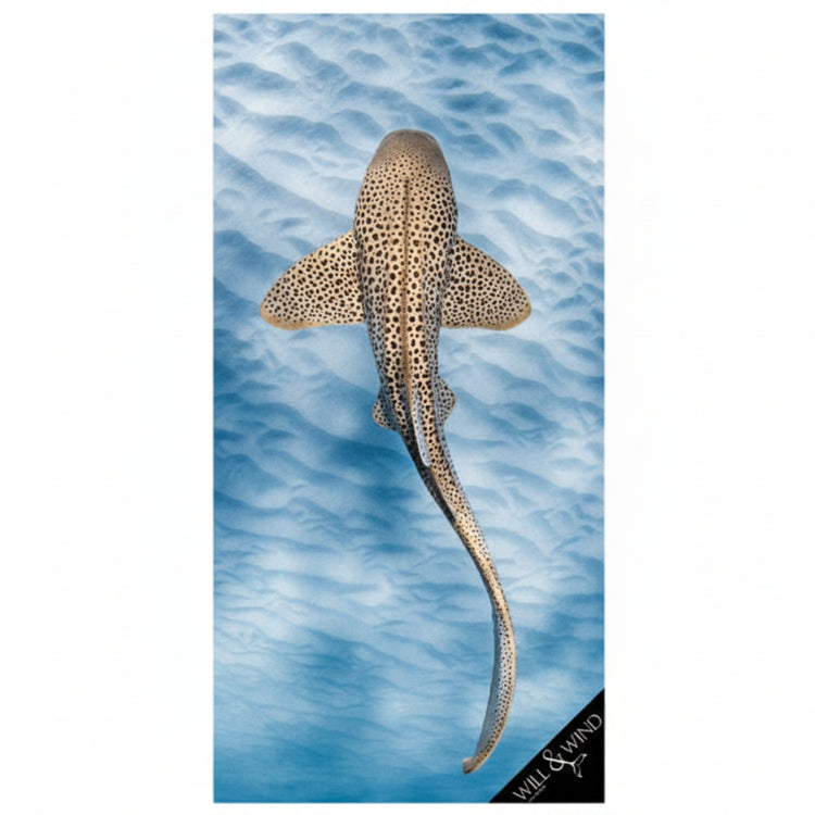 Will & Wind Leopard Shark marine life print towel. Recycled plastic quick dry microfibre swim towel, designed in Australia.
