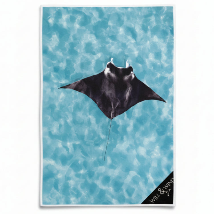 Will & Wind Manta Ray ocean life photography towel. Lightweight absorbent rPET microfiber towel shipped from Australia.