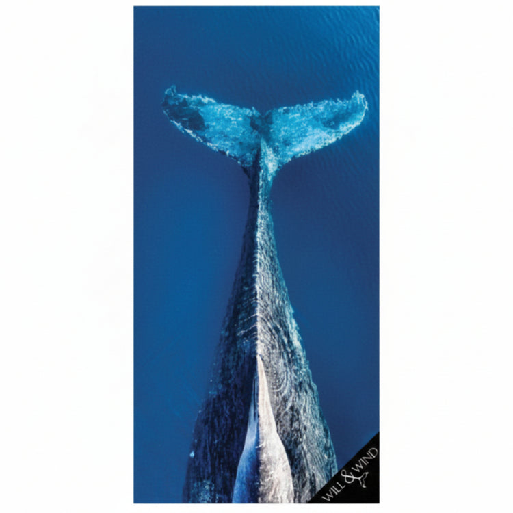 Will & Wind Whale Tail ocean photography towel. Tightly woven sandless rPET microfibre towel, fast shipping Australia wide.